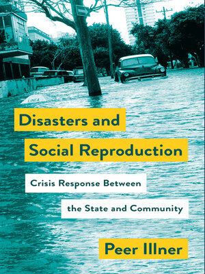 cover image of Disasters and Social Reproduction